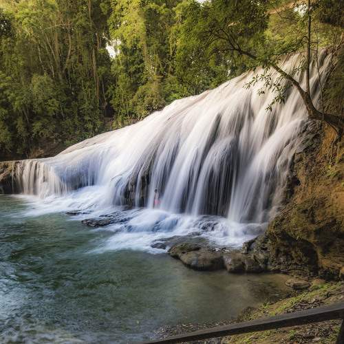 Photo #6867845