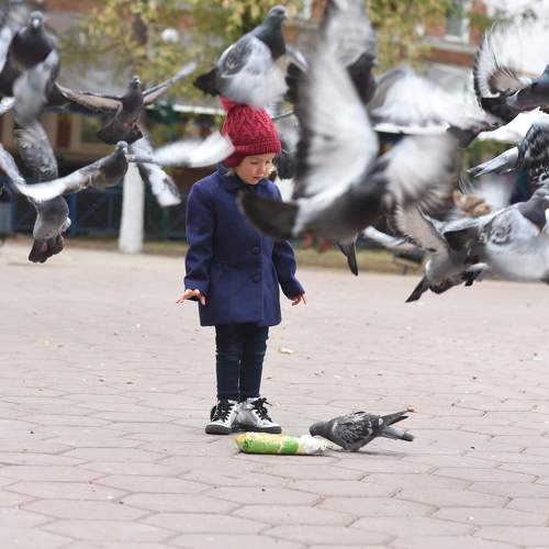 Photo #6867969