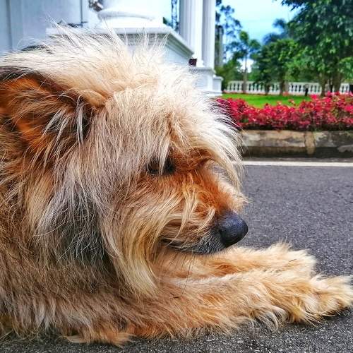 Photo #6867977
