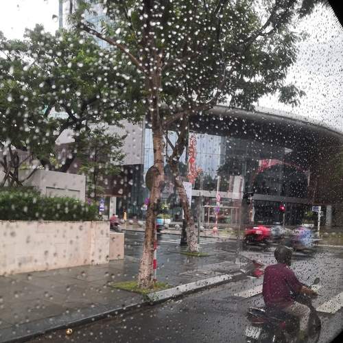 Photo #6868136