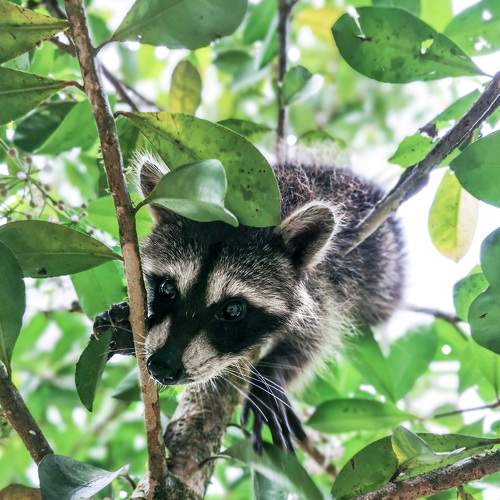 Photo #6868390