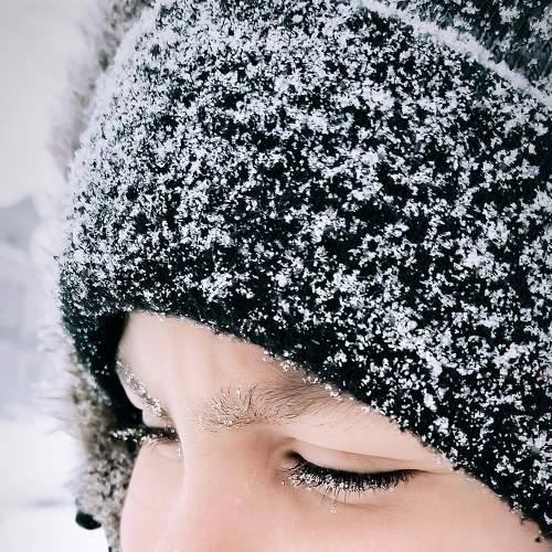 Photo #6868515