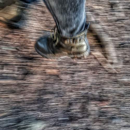 Photo #6868526