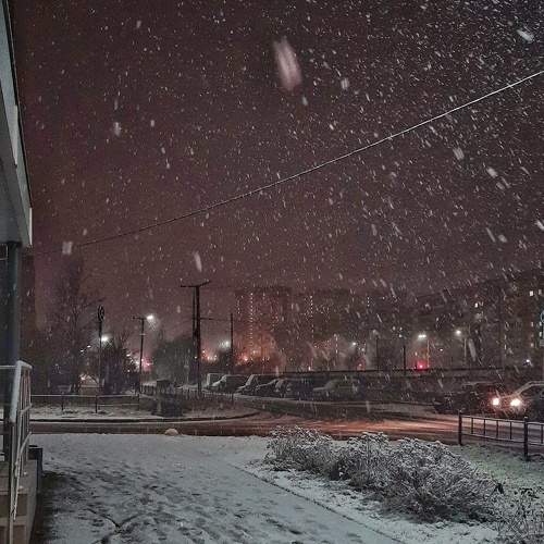 Photo #6868540