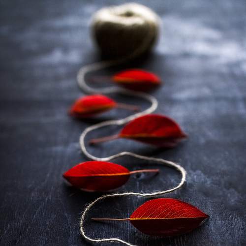 Photo #6868998