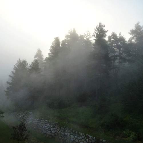 Photo #6869026