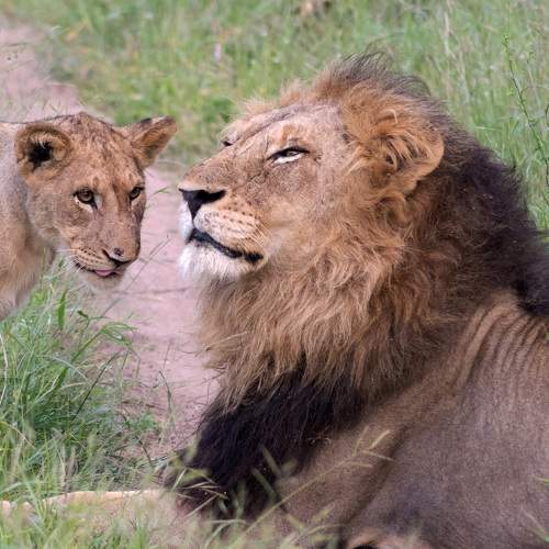 Photo #6869193