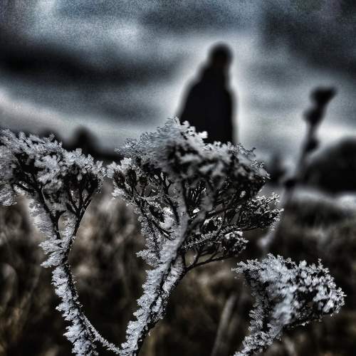 Photo #6869203
