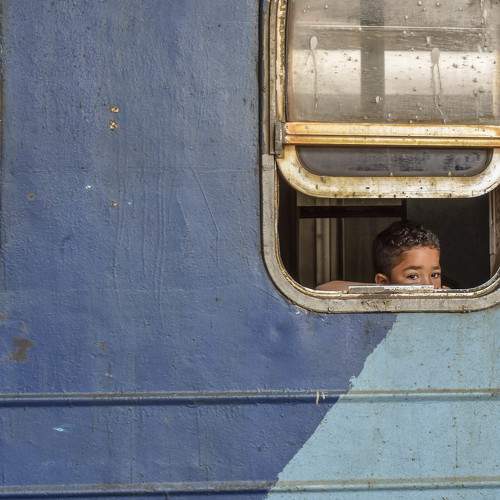 Photo #6869313
