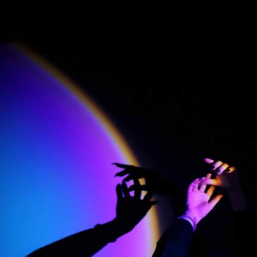 Photo #6869319