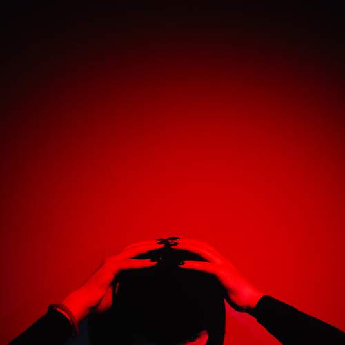 Photo #6869326