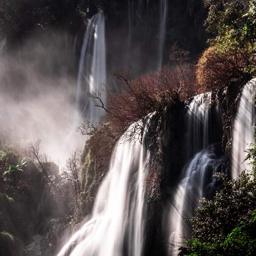 Photo #6869520