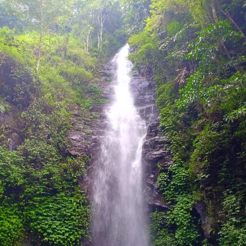 Photo #6869524