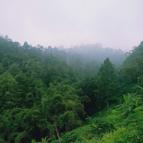 Photo #6869607