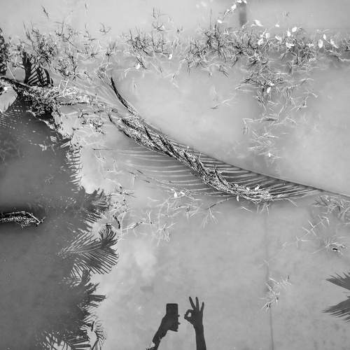 Photo #6869608