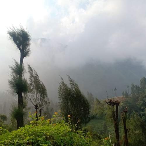 Photo #6869610