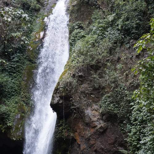 Photo #6869702
