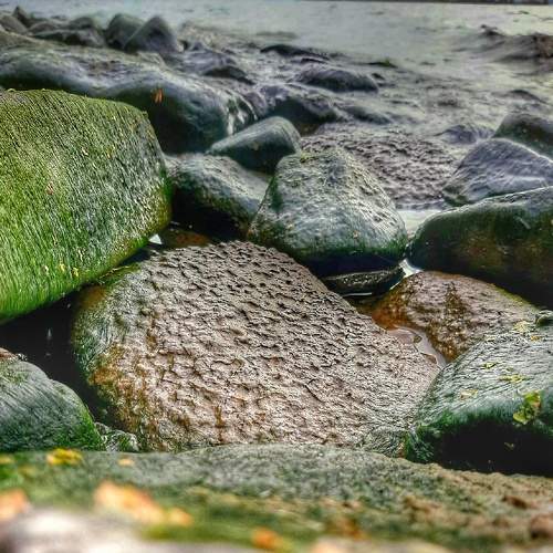 Photo #6869774