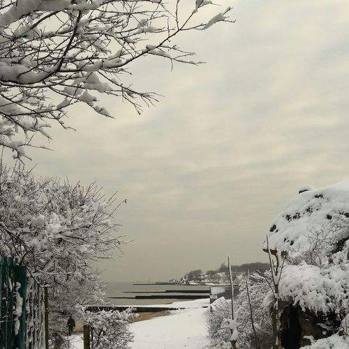 Photo #6870244