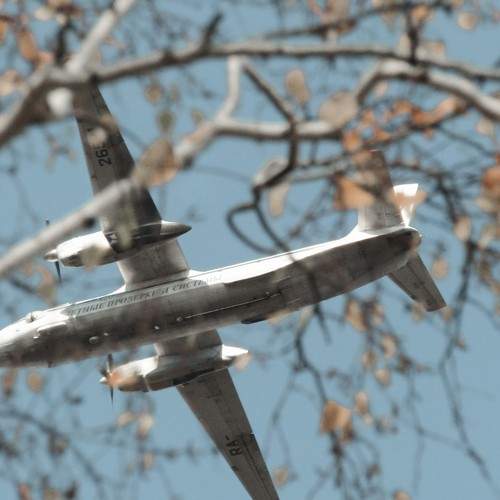 Photo #6870299