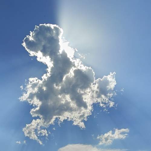 Photo #6870343