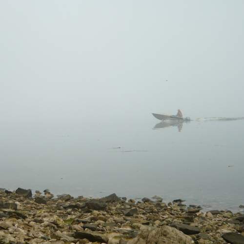 Photo #6870399