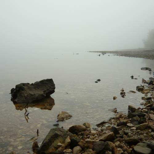 Photo #6870401