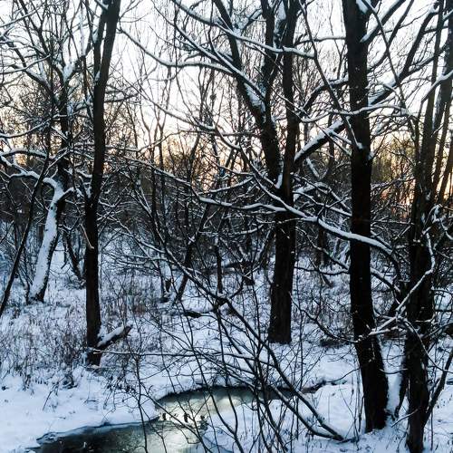Photo #6870710