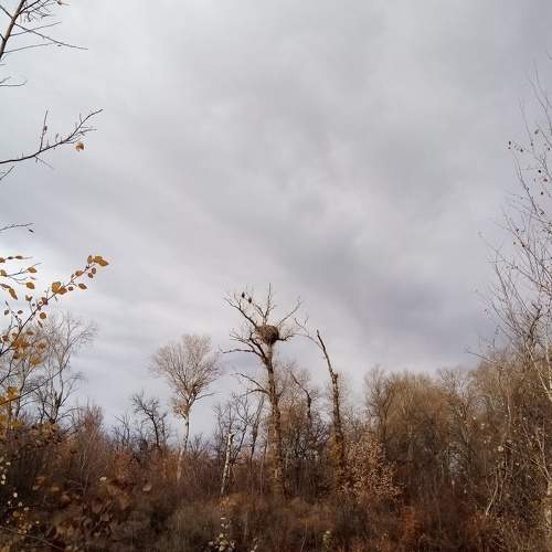Photo #6870995