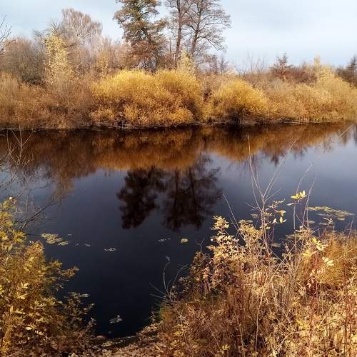 Photo #6871003