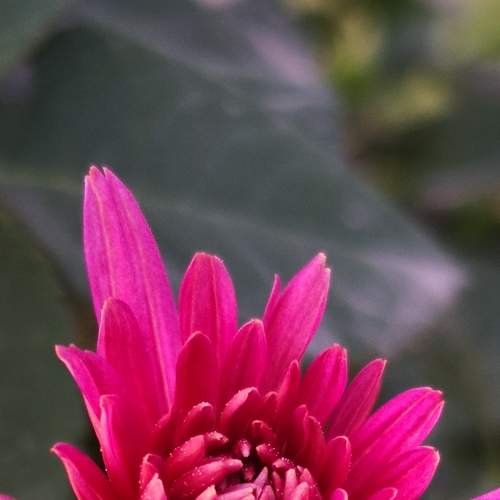 Photo #6871173
