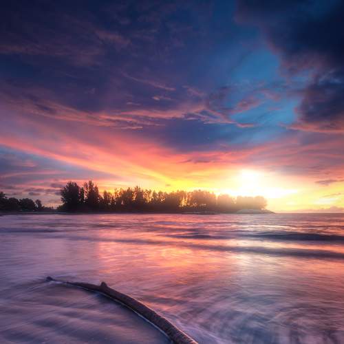 Photo #6871284