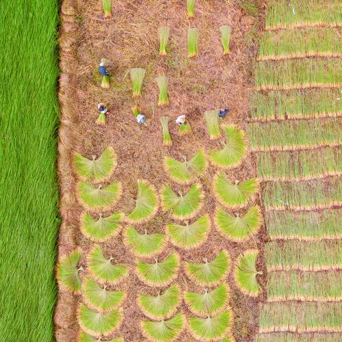 Photo #6871378