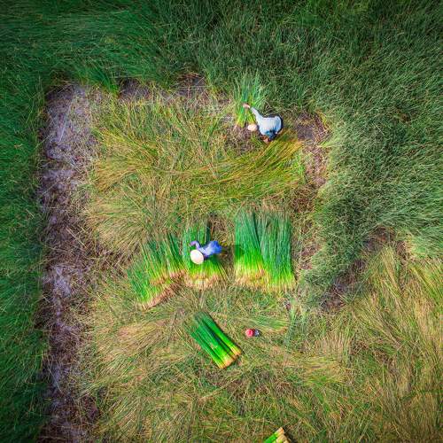 Photo #6871424