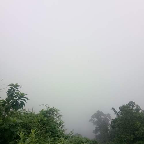 Foggy