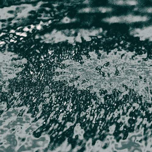 Photo #6871545