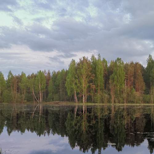 Photo #6871845