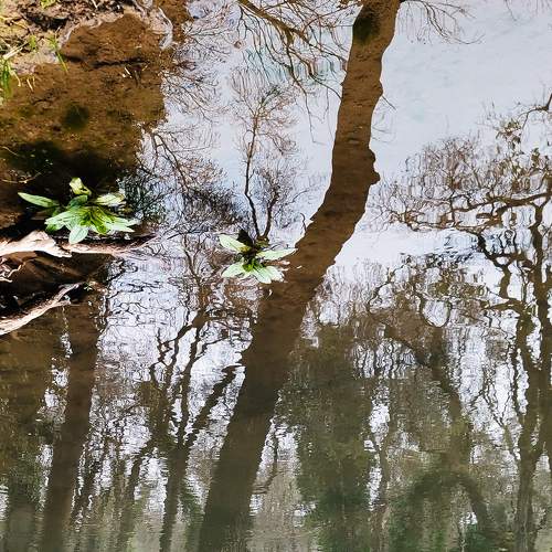 Photo #6871935