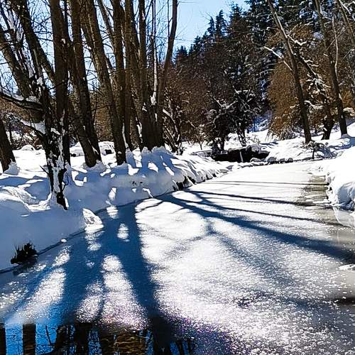 Photo #6871938