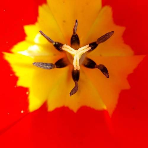 Фотография #6872197