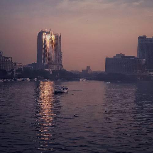 Photo #6872345