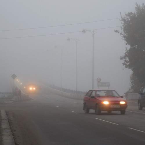 Photo #6872383
