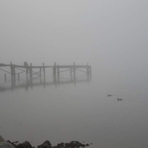 Photo #6872385