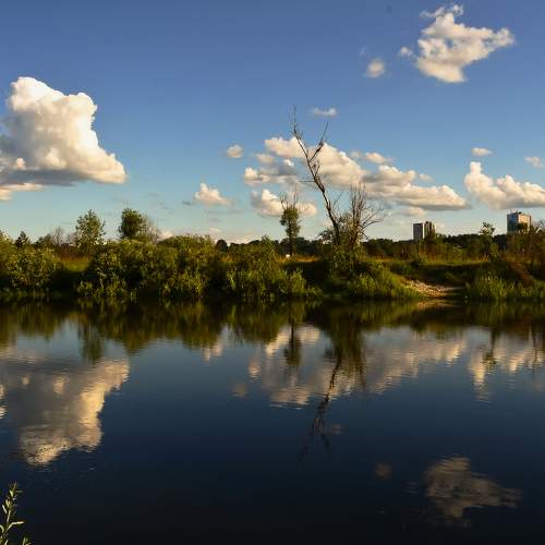 Photo #6872506