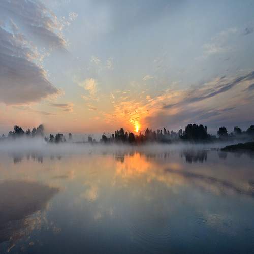 Photo #6872507