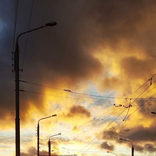 Photo #6872548