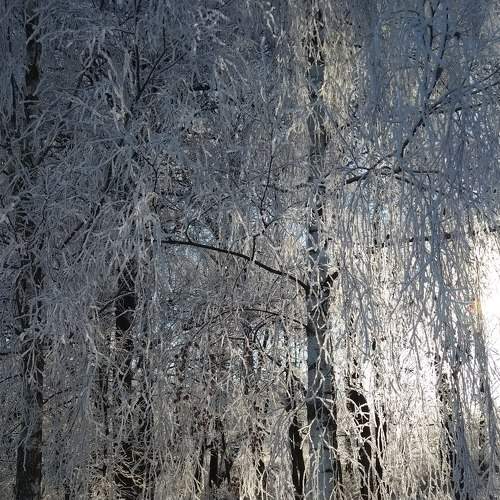 Photo #6872582