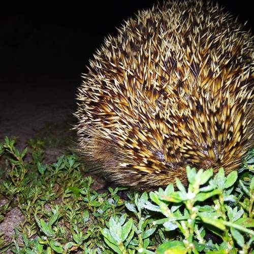 Photo #6872602