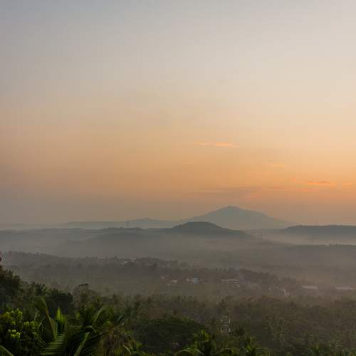 Photo #6873022