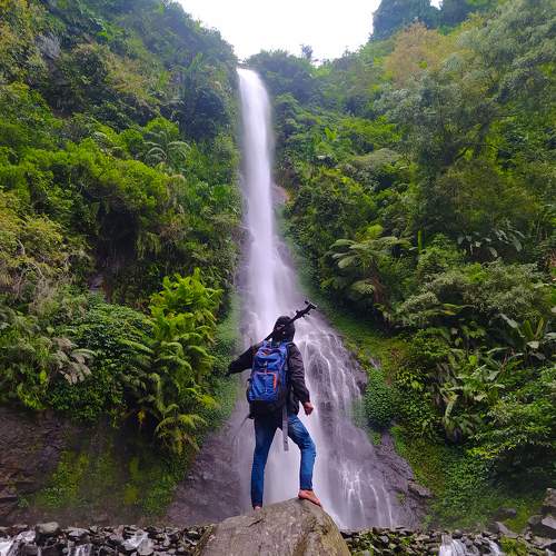 Photo #6873128